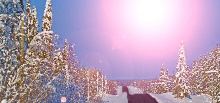 Kuvassa on luminen maisema ja tie.