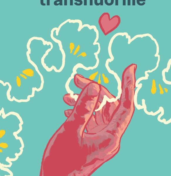 Seksiopas transnuorille